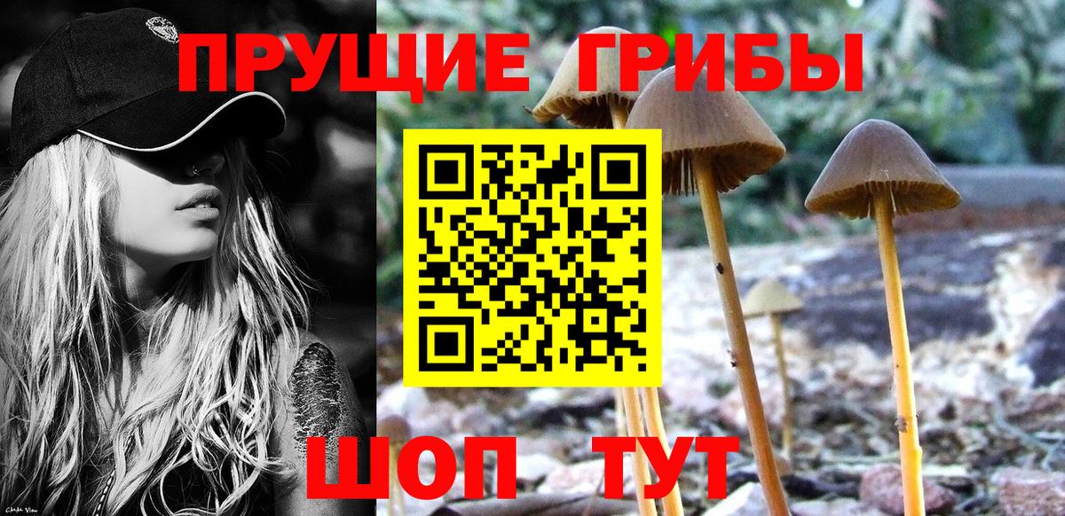 Галлюциногенные грибы мицелий Егорьевск