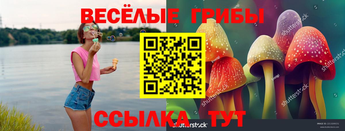 Егорьевск  Галлюциногенные грибы Magic Shrooms  продажа наркотиков  Вход с VPN 